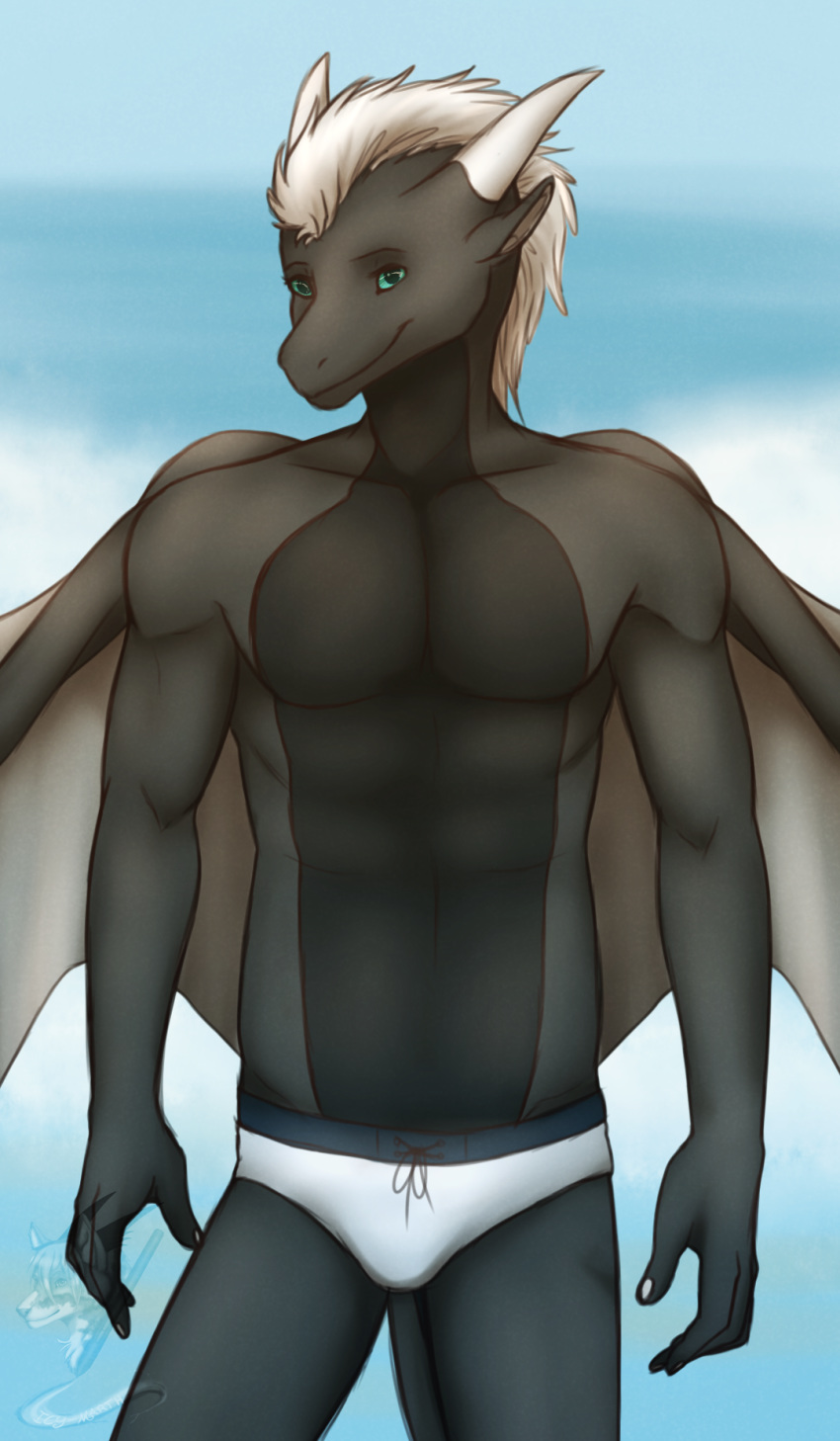 anthro beach dragon icy-marth male pinup pose seaside solo