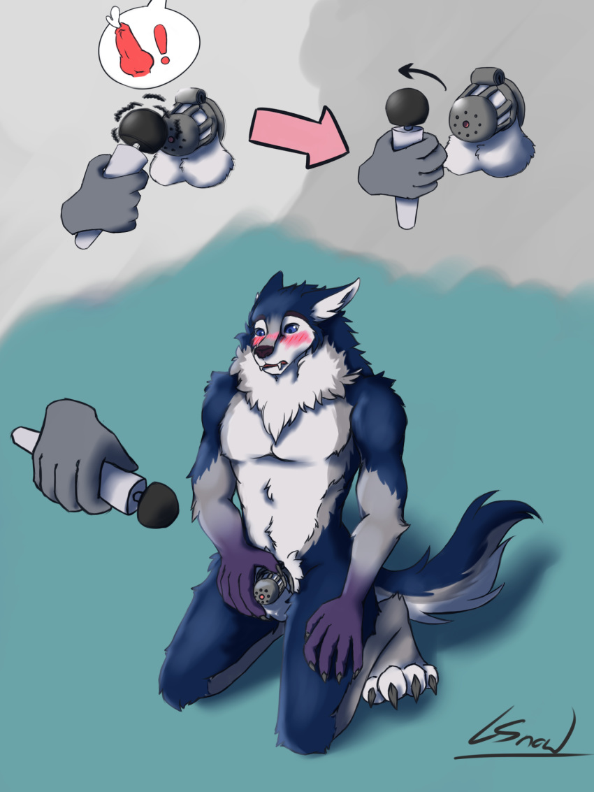 2019 albax anthro balls blush canid canine canis chastity chastity_cage digital_media_(artwork) edging fur hi_res hitachi_magic_wand lynnsnowmew male mammal muscular nude open_mouth orgasm_denial penis sex_toy simple_background submissive_male vibrator wolf worg