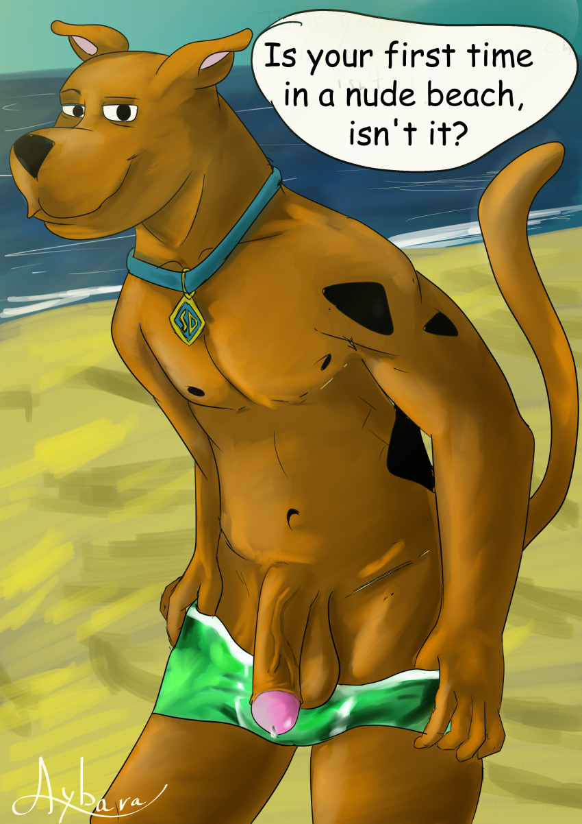 absurd_res anthro aybara balls beach canid canine canis comic domestic_dog hanna-barbera hi_res humanoid_penis male mammal nude outside penis scooby-doo scooby-doo_(series) sea seaside solo text water