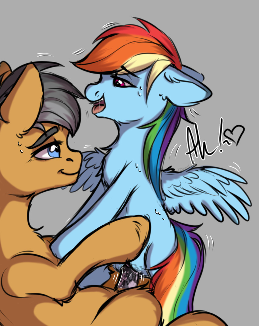 2019 absurd_res dinoalpaka duo earth_pony equid equine female friendship_is_magic hi_res horse male male/female male_penetrating mammal my_little_pony penetration penis pony pterippus pussy pussy_juice quibble_pants_(mlp) rainbow_dash_(mlp) sex vaginal vaginal_penetration wings