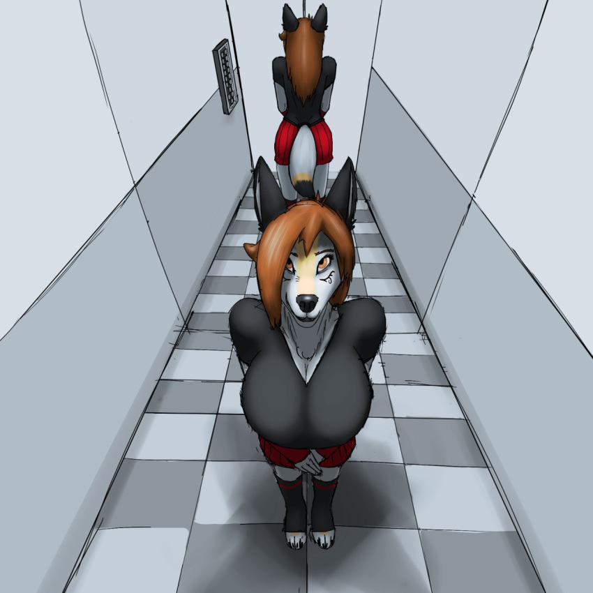 1:1 big_breasts bottomwear breasts brown_eyes brown_hair canid canine canis cleavage clothed clothing coyote elevator female hair hi_res krasnya krasnyakoiot_(artist) legwear looking_up mammal mirror security_camera skirt smile smirk socks solo toeless_socks