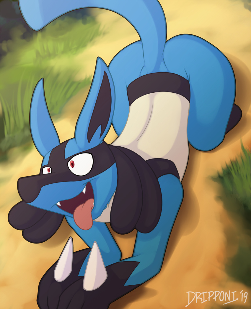 2019 blue_fur butt day detailed_background digital_media_(artwork) dripponi feral fur grass hi_res lattynskit lucario nintendo open_mouth outside pok&eacute;mon pok&eacute;mon_(species) red_eyes solo teeth tongue video_games