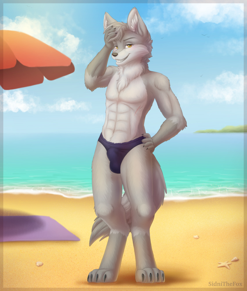 2019 abs absurd_res anthro balls beach bedroom_eyes biceps blush bulge canid canine canis clothed clothing countershade_torso countershading detailed detailed_fur digital_media_(artwork) digitigrade fur grey_fur hair half-closed_eyes hi_res looking_at_viewer male mammal muscular muscular_male outside pinup pose sea seaside seductive sidnithefox smaller_version_at_source smile solo swimwear topless underwear water white_balls wolf