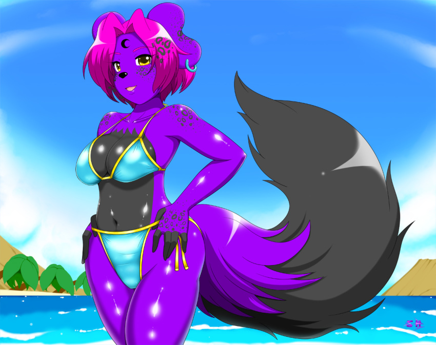 beach bikini canid canine canis clothing domestic_dog ear_piercing ear_ring mammal piercing seaside sky solo speeds swimwear