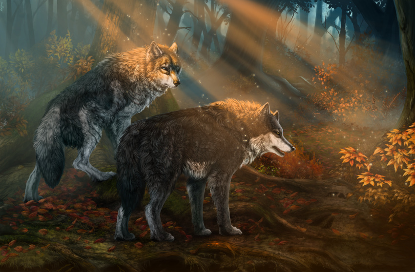 2019 blue_eyes canid canine canis digital_media_(artwork) hi_res male mammal rakan scar skahdryn wolf wolfroad