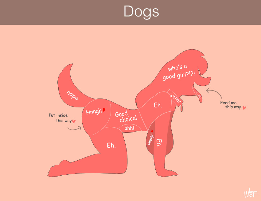 anthro big_breasts breasts canid canine collar female hanging_breasts hi_res mammal text tongue tongue_out wherewolf