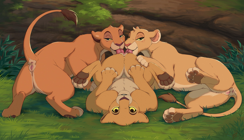 2023 anus cunnilingus disney felid female female/female feral fur genitals group kiara_(the_lion_king) lion mammal multicolored_body multicolored_fur oral pantherine pussy reallynxgirl sex tan_body tan_fur the_lion_guard the_lion_king tiifu_(the_lion_guard) trio two_tone_body two_tone_fur vaginal zuri_(the_lion_guard)