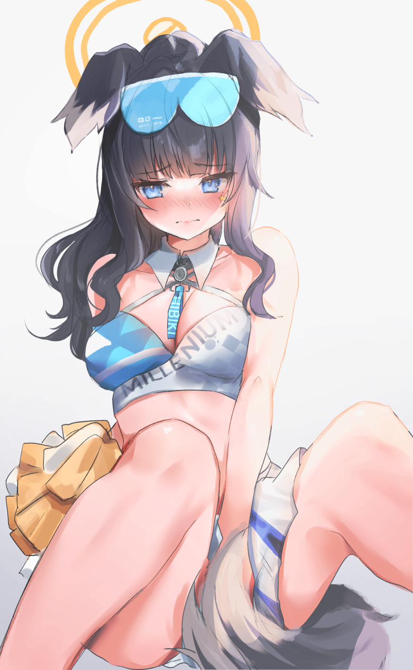 1girl absurdres animal_ears bare_shoulders black_hair blue_archive blue_eyes blush breasts cheerleader closed_mouth covering_crotch covering_privates dog_ears dog_girl dog_tail embarrassed eyewear_on_head grey_background halo hibiki_(blue_archive) hibiki_(cheer_squad)_(blue_archive) highres long_hair looking_at_viewer maru_ccy millennium_cheerleader_outfit_(blue_archive) nose_blush official_alternate_costume pom_pom_(cheerleading) simple_background sitting skirt solo tail text_print