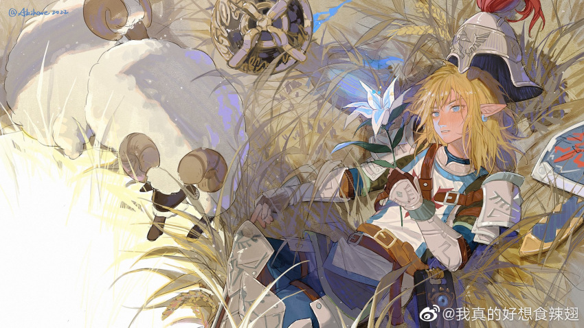 1boy 2022 akihare animal armor armored_gloves belt belt_buckle blonde_hair blue_pants brown_belt buckle earrings fingerless_gloves flower gloves grass head_tilt helmet highres holding holding_flower jewelry leg_armor link lying male_focus medium_hair on_back pants parted_lips pointy_ears red_gloves sheep shield shirt shoulder_armor sidelocks single_earring solo the_legend_of_zelda the_legend_of_zelda:_breath_of_the_wild twitter_username weibo_logo weibo_username