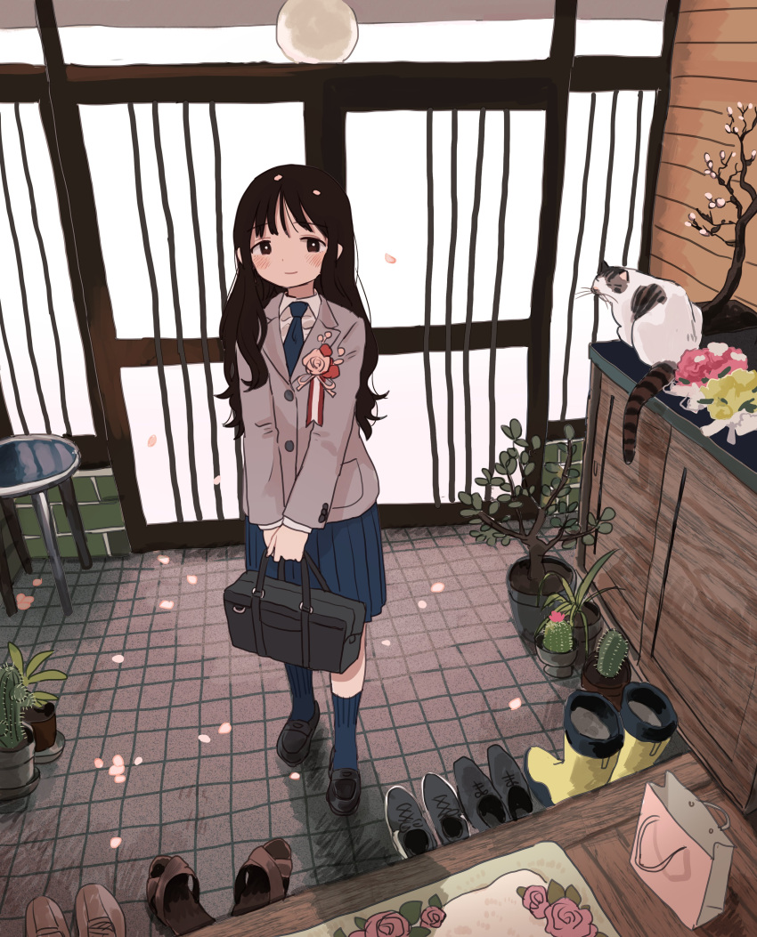 1girl absurdres bag black_hair blush cactus cat cherry_blossoms highres light_smile long_hair original petals plant potted_plant school_bag school_uniform shoes solo spring_(season) standing zinbei