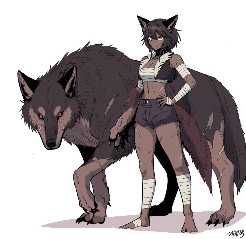 1girl absurdres animal animal_ears bandaged_arm bandaged_foot bandaged_leg bandages breasts brown_fur brown_hair chest_sarashi claws collar full_body gegegekman hair_between_eyes highres looking_at_viewer navel original oversized_animal red_eyes sarashi scar short_hair shorts simple_background small_breasts solo standing tail watermark werewolf white_background wolf wolf_ears wolf_girl wolf_tail