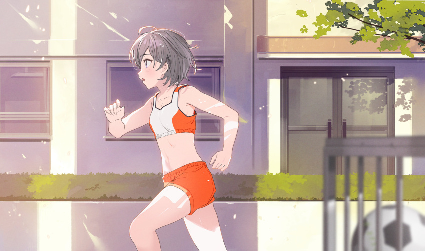 1girl absurdres breasts buruma grey_hair highres idoly_pride kanzaki_rio koyoi_mitsuki official_art orange_buruma purple_eyes running short_hair small_breasts solo sports_bra sportswear stomach tagme