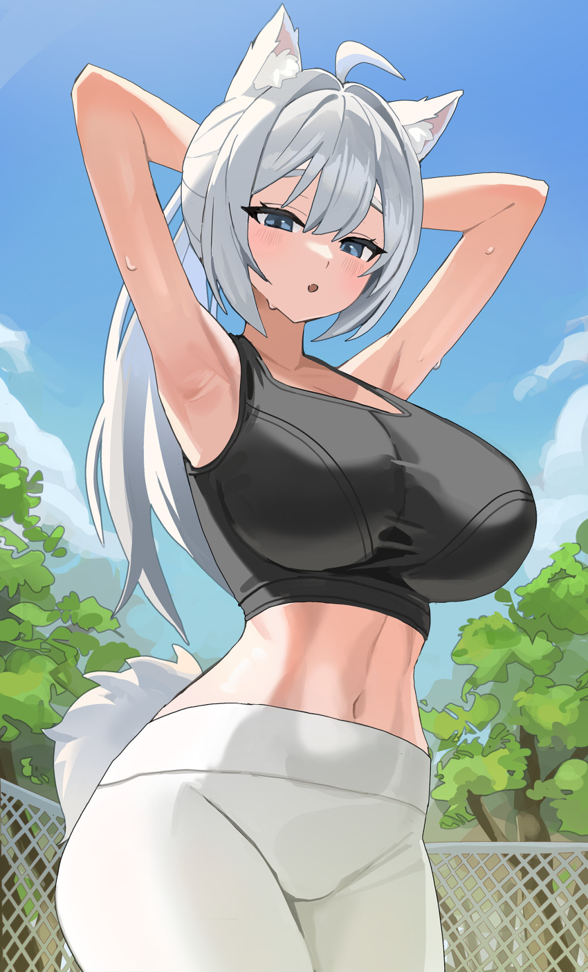 1girl :o absurdres ahoge animal_ear_fluff animal_ears armpits arms_behind_head arms_up bare_arms bare_shoulders black_shirt black_sports_bra blue_eyes breasts commission cowboy_shot crop_top day fox_ears fox_girl fox_tail highres huge_breasts long_hair looking_at_viewer midriff navel open_mouth original outdoors pants ponytail shirt sinkee sleeveless sleeveless_shirt solo sports_bra standing stomach sweat tail track_pants white_hair white_pants