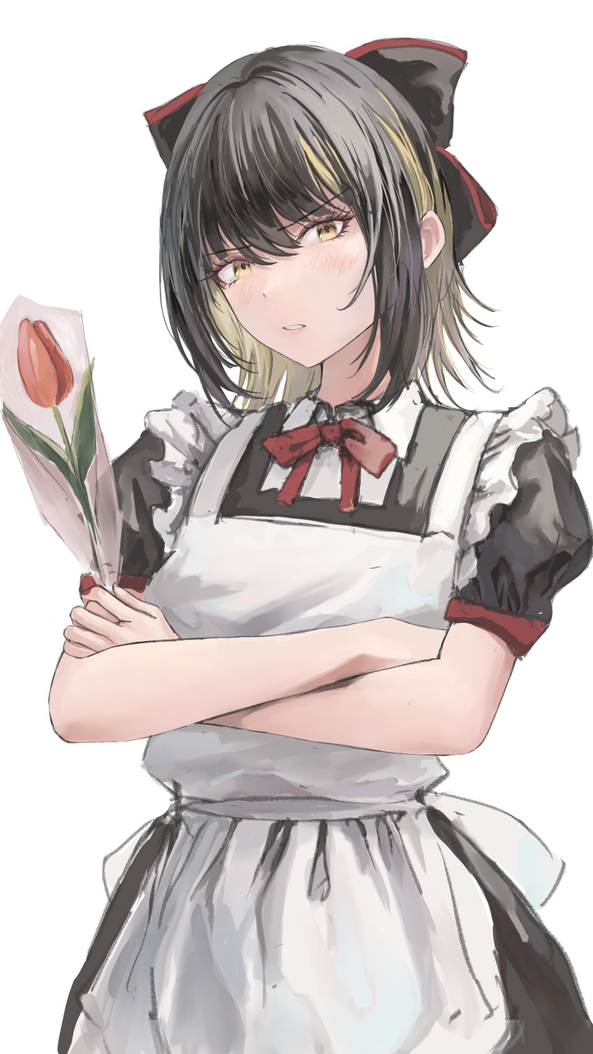 1girl absurdres apron black_dress black_hair blonde_hair blush crossed_arms dress flower highres holding holding_flower idolmaster idolmaster_shiny_colors ikaruga_luca kitaugetu looking_at_viewer maid_apron multicolored_hair neck_ribbon puffy_short_sleeves puffy_sleeves red_ribbon ribbon short_sleeves simple_background solo streaked_hair two-tone_hair white_apron white_background yellow_eyes