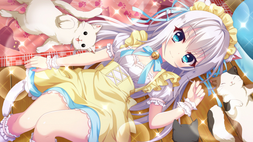 1girl animal_ear_fluff animal_ears bell blue_eyes blue_ribbon blush breasts cat cat_ears cat_tail cleavage closed_mouth dot_nose dress fake_animal_ears fake_tail film_grain from_above game_cg hair_down hair_ribbon indoors izumi_tsubasu jingle_bell kneehighs lens_flare long_hair looking_at_viewer lying maid maid_headdress neck_bell neck_ribbon nishidate_haku non-web_source official_art on_back paw_print paw_print_pattern puffy_short_sleeves puffy_sleeves re:stage! ribbon rug short_sleeves small_breasts smile socks solo sparkle tail underbust white_cat white_hair white_socks white_tail white_wrist_cuffs wooden_floor wrist_cuffs yellow_dress