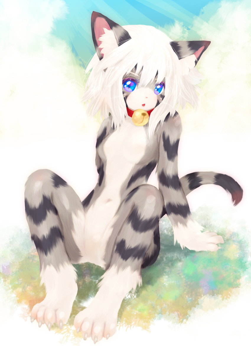 2019 anthro bell_collar blue_eyes breasts collar domestic_cat featureless_breasts featureless_crotch felid feline felis female hair hi_res karin looking_at_viewer mammal navel nude open_mouth simple_background sitting solo tetetor-oort white_hair