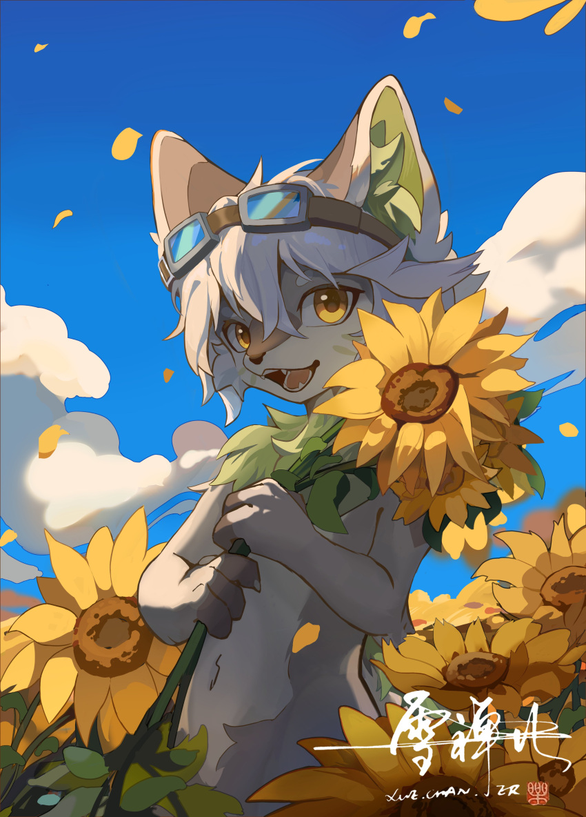 1boy absurdres animal_ear_fluff animal_ears backlighting blue_sky chinese_commentary claws cloud falling_petals fangs field flower flower_field goggles goggles_on_head hair_between_eyes highres holding holding_flower male_focus navel open_mouth original petals short_hair signature sky solo sunflower white_hair wolf_boy wolf_ears xuechan9 yellow_eyes