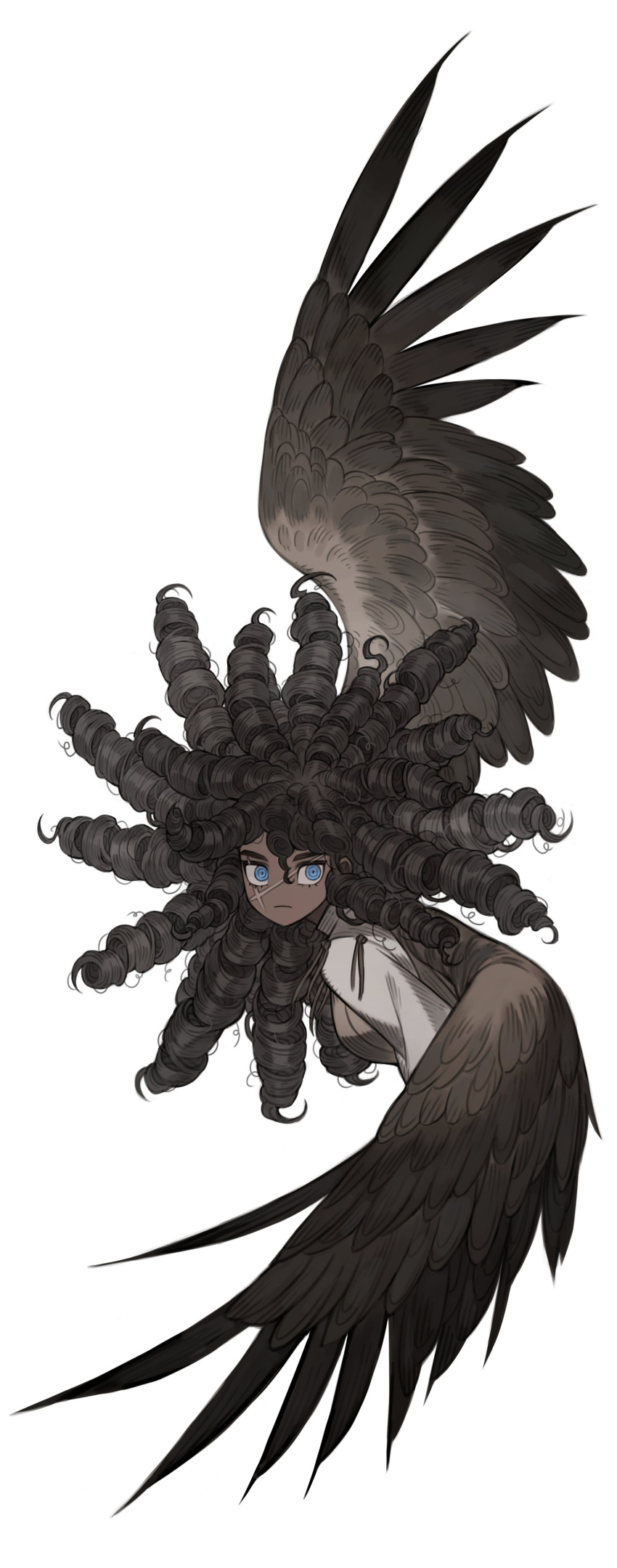 1other absurdres blue_eyes brown_feathers brown_hair brown_wings dark_skin drill_hair feathered_wings feathers highres napal_(ve_xillum) original scar scar_on_face shirt solo white_background white_shirt wings