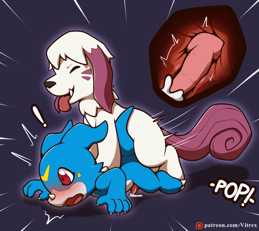 all_fours anal anal_penetration animal_genitalia animal_penis anthro bandai_namco blue_body blush bodily_fluids canid canine canine_genitalia canine_penis claws cum cum_in_ass cum_inside cum_on_ground digimon digimon_(species) digital_media_(artwork) doggystyle duo ejaculation erection fangs feral from_behind_position fur genital_fluids genitals horn knot knotting labramon male male/male male_penetrated male_penetrating male_penetrating_male mammal nude open_mouth orgasm penetration penis scalie sex simple_background smile tail teeth text tongue url veemon vitrex white_body white_fur
