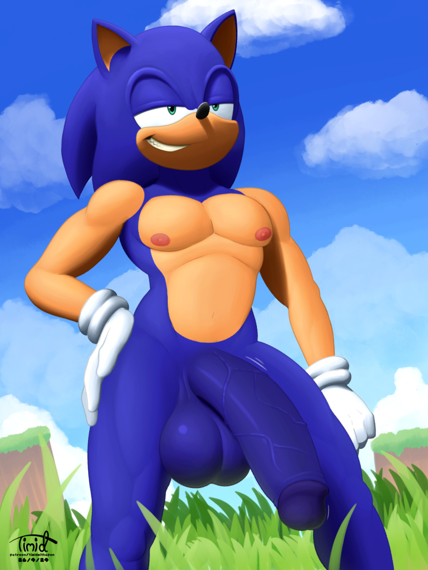 anthro balls big_balls big_penis blue_body blue_fur clothing cloud digital_media_(artwork) eulipotyphlan fur genitals gloves grass handwear hedgehog hi_res humanoid_genitalia humanoid_penis male mammal nipples nude outside pecs penis plant sega sky smile solo sonic_the_hedgehog sonic_the_hedgehog_(series) teeth timidwithapen vein veiny_penis