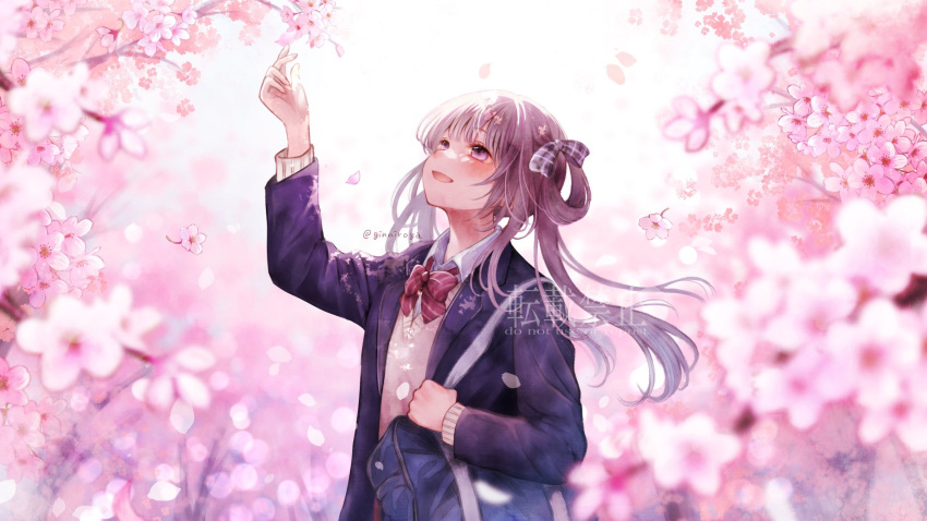 1girl :d bag blazer blue_jacket blurry bow bowtie cherry_blossoms collared_shirt day depth_of_field falling_petals floating_hair ginniroya grey_bow grey_hair hair_bow hand_up highres jacket long_hair looking_up open_clothes open_jacket open_mouth original outdoors petals plaid plaid_bow purple_eyes red_bow red_bowtie school_bag shirt sidelocks single_hair_ring smile solo striped_bow striped_bowtie striped_clothes sweater twintails twitter_username upper_body v-neck watermark white_shirt yellow_sweater