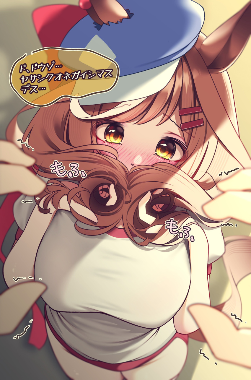 1girl absurdres alternate_costume breasts brown_background brown_hair buruma covering_own_mouth fluffy hair_ornament hairclip hat highres horse_girl matikane_tannhauser_(umamusume) medium_breasts ponta_(1859ysmssstsp) pov pov_hands ribbon simple_background solo_focus thighhighs translation_request umamusume yellow_eyes