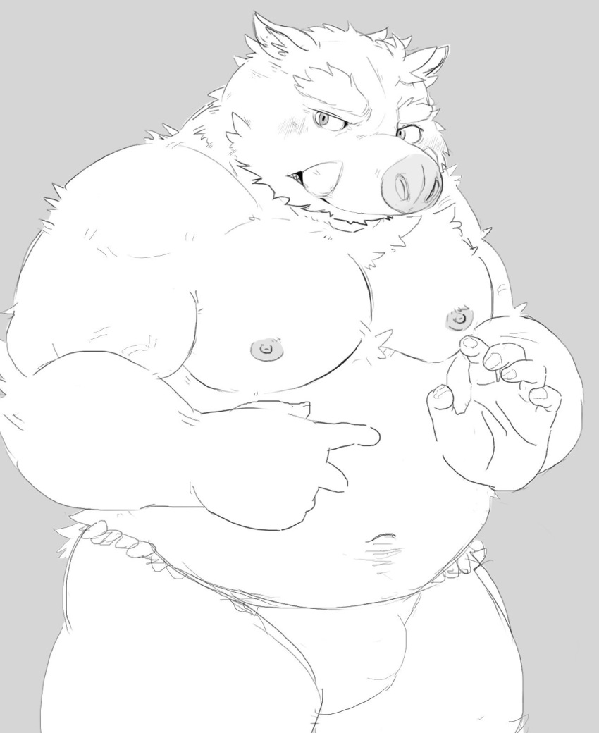 2019 anthro belly blush bulge clothing dbmgnsk fundoshi hi_res humanoid_hands japanese_clothing maguro male mammal moobs navel nipples overweight overweight_male simple_background solo suid suina sus_(pig) underwear wild_boar