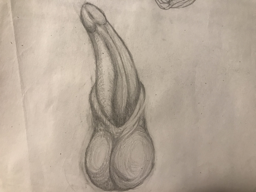 4:3 absurd_res animal_genitalia balls dragon drawing erection genital_slit hi_res monochrome penis sketch slit tapering_penis