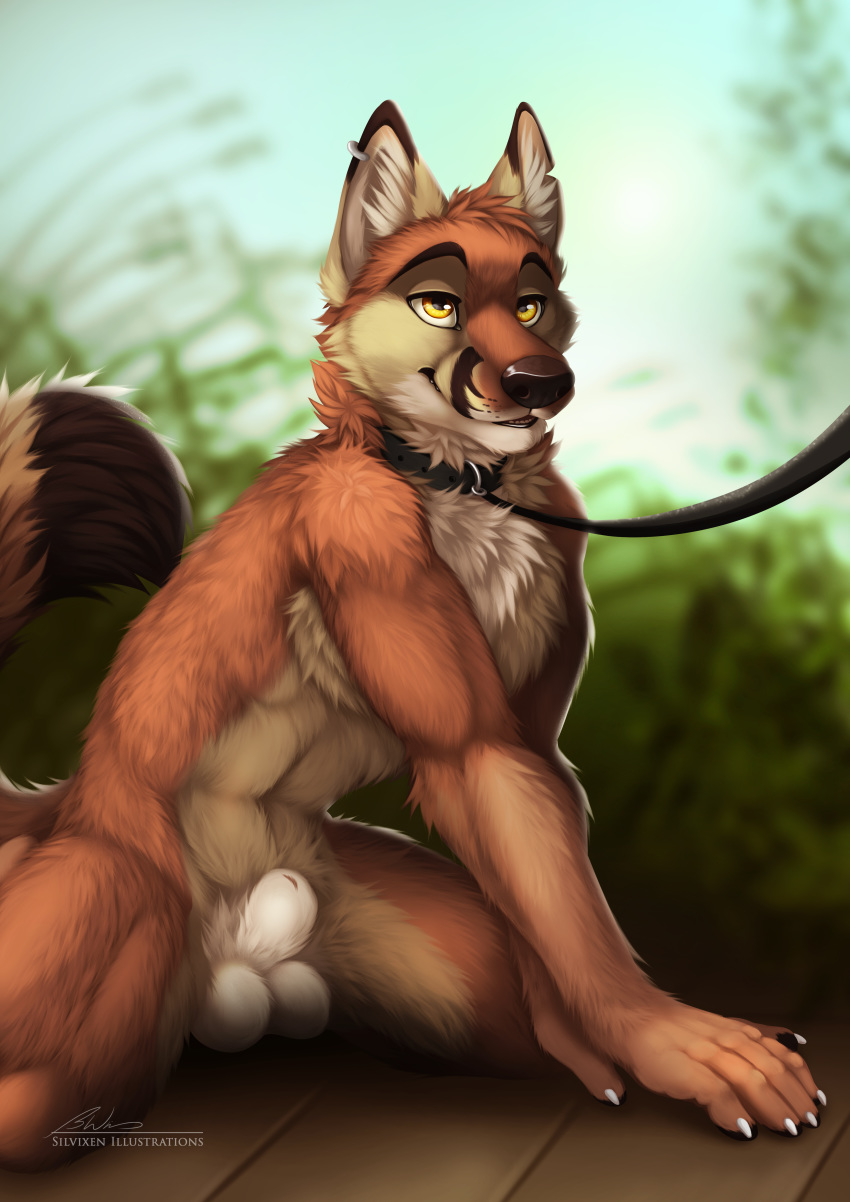 absurd_res animal_genitalia canid canine canis chudlight coyote hi_res leash male mammal pinup pose sheath silvixen solo