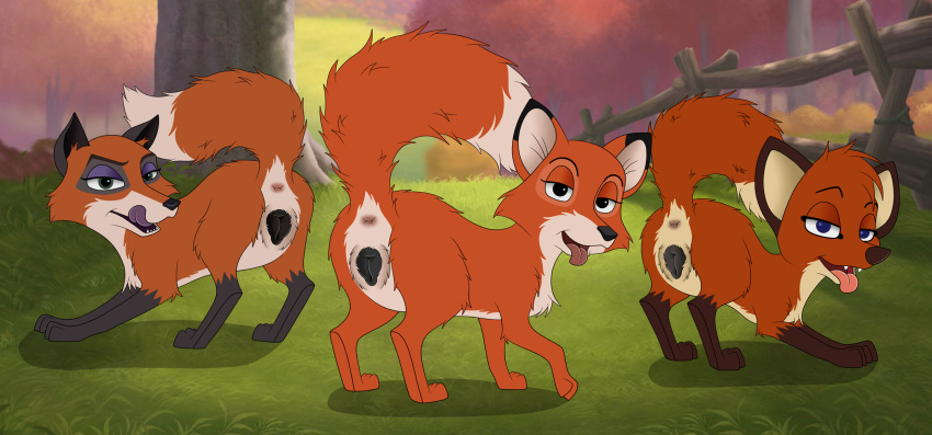 animal_genitalia animal_pussy anus balto balto_(film) bedroom_eyes bent_over black_pussy butt canid canine canine_pussy disney female feral fluffy fluffy_tail fox fox_and_the_hound half-closed_eyes hi_res horny_(disambiguation) invalid_tag jungledyret_hugo looking_at_viewer mammal paws pussy rear_view rita seductive skateryena tongue tongue_out trickster vixey