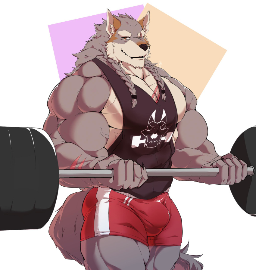 2019 anthro biceps bottomwear bulge canid canine canis clothing digital_media_(artwork) essentialryu exercise fur hi_res looking_at_viewer male mammal muscular muscular_male pecs scar shirt shorts solo tank_top topwear weightlifting wolf workout