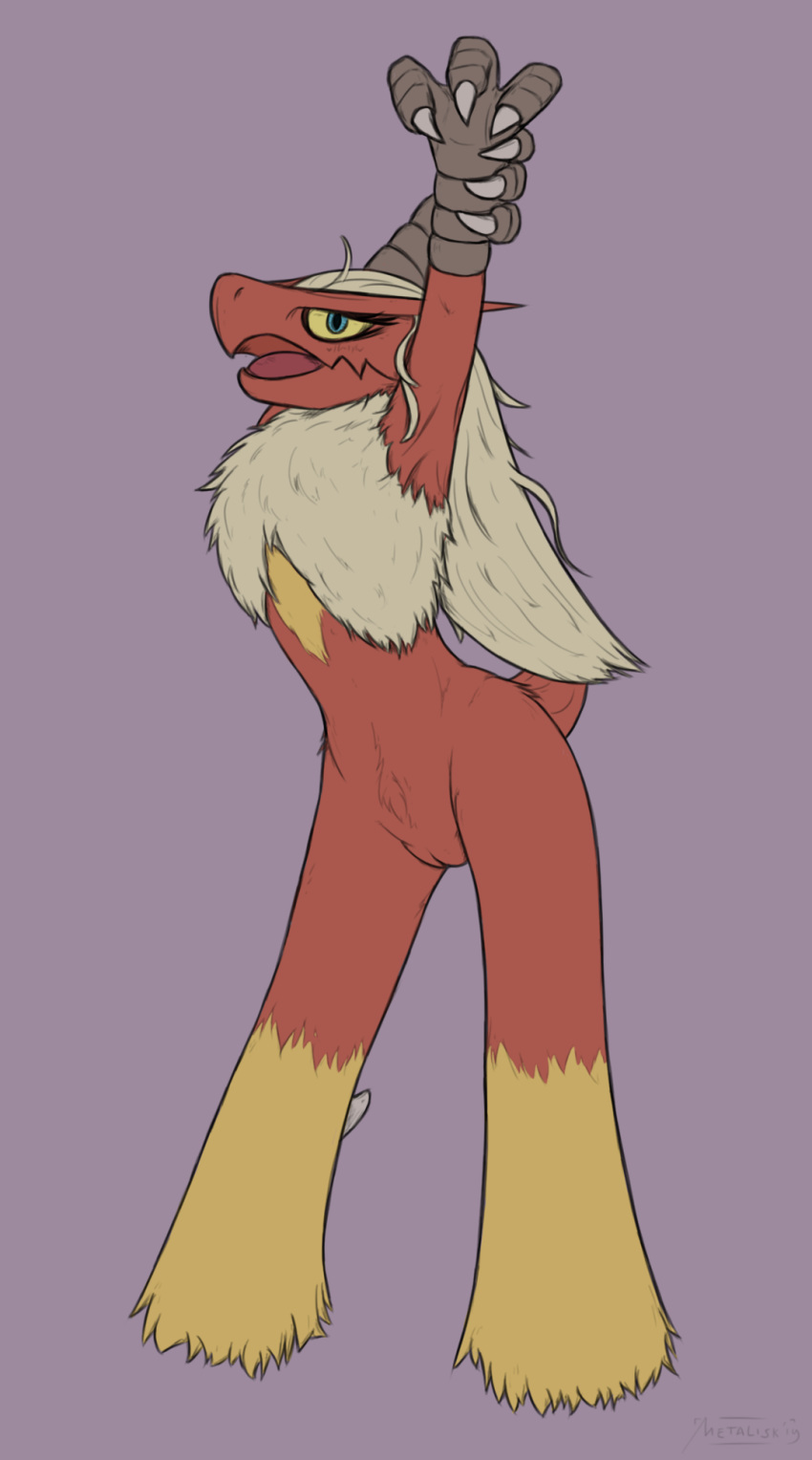 2019 avian blaziken claws digital_media_(artwork) feather_tuft feathers female hair hi_res long_hair looking_at_viewer metalisk nintendo open_mouth pok&eacute;mon pok&eacute;mon_(species) pussy red_feathers simple_background solo standing tuft video_games yellow_eyes yellow_feathers