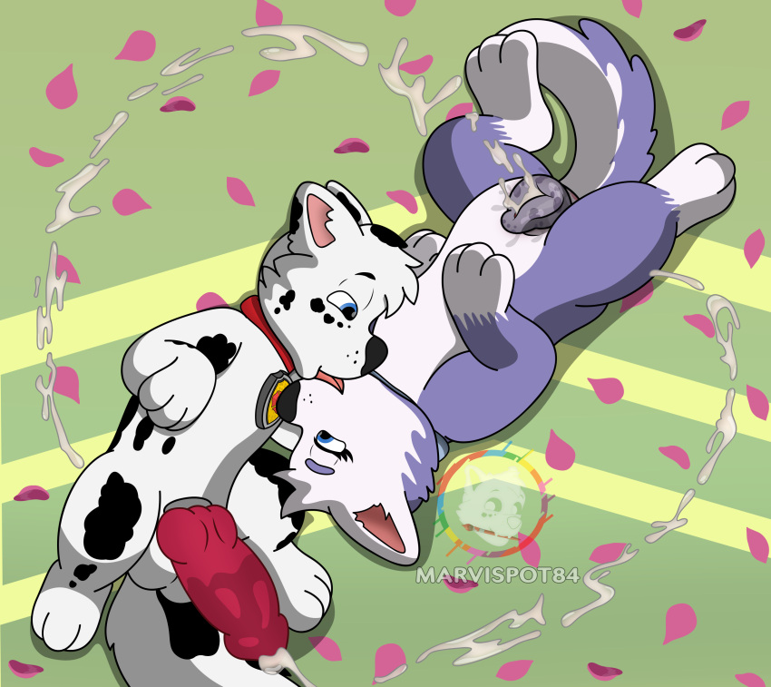 animal_genitalia animal_penis animal_vulva blue_eyes bodily_fluids canid canine canine_genitalia canine_penis canine_vulva canis cel_shading collar cum cum_drip cum_heart cum_in_vagina cum_inside cum_on_penis dalsky_(dalmatian_and_husky) domestic_dog dripping duo ejaculation female feral fluffy fluffy_ears fluffy_fur fluffy_tail french_kissing fur genital_fluids genital_markings genitals heart_(marking) heart_symbol hi_res kiss_on_lips kissing knot knotted_penis lying male male/female mammal markings marvispot84 on_side paw_patrol penis purple_body purple_fur sasha_(oc) shaded spots spots_(oc_marvispot84) spotted_body spotted_fur spotted_genitalia spotted_vulva spread_legs spreading tail vaginal_fluids vulva vulva_markings wet wet_penis white_body white_fur