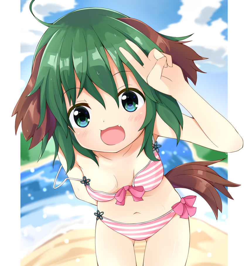 1girl :d animal_ears arm_behind_back bent_over bikini blue_eyes blue_sky breasts chinoru cloud dog_ears dog_tail fang green_hair highres kasodani_kyouko open_mouth short_hair sky small_breasts smile strap_slip striped striped_bikini swimsuit tail touhou v