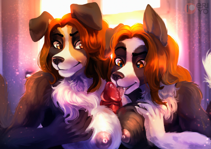 2019 5_fingers absurd_res anthro anthro_on_anthro areola black_nose border_collie breast_squish breasts breasts_frottage brown_eyes brown_hair canid canine canis cara_(juracollie) child collaborative_titfuck collie daughter detailed_background digital_media_(artwork) domestic_dog double_titfuck duo_focus eri-yo faceless_male female group group_sex hair herding_dog hi_res incest jura_(juracollie) male male/female mammal mother mother_and_daughter nipples parent pastoral_dog penis sex sheepdog squish teamwork threesome titfuck young