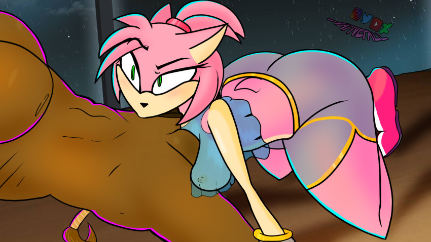 16:9 2019 amy_rose anthro balls blush breasts butt clothed clothing duo equid equine eyelashes female hi_res horse male male/female mammal mature_female nativefall penis simple_background single solo_focus sonic_(series) teasing thick_thighs video_games