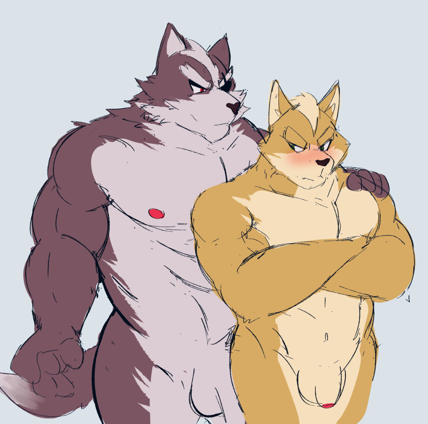 2019 abs anthro balls blush canid canine canis duo eye_patch eyewear flaccid foreskin fox fur hi_res humanoid_penis male male/male mammal muscular muscular_male nintendo nipples penis radcanine star_fox video_games wolf wolf_o'donnell