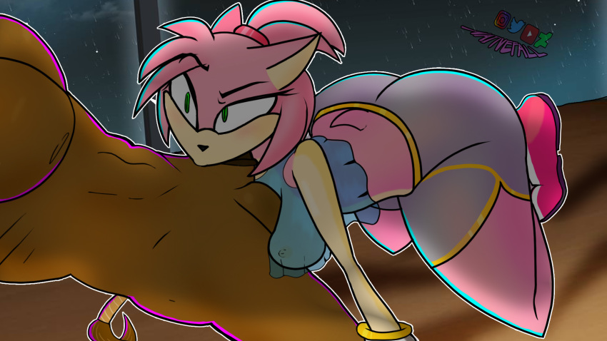 16:9 2019 amy_rose anthro balls blush breasts butt clothed clothing duo equid equine eyelashes female hi_res horse male male/female mammal mature_female nativefall penis simple_background single solo_focus sonic_(series) teasing thick_thighs video_games