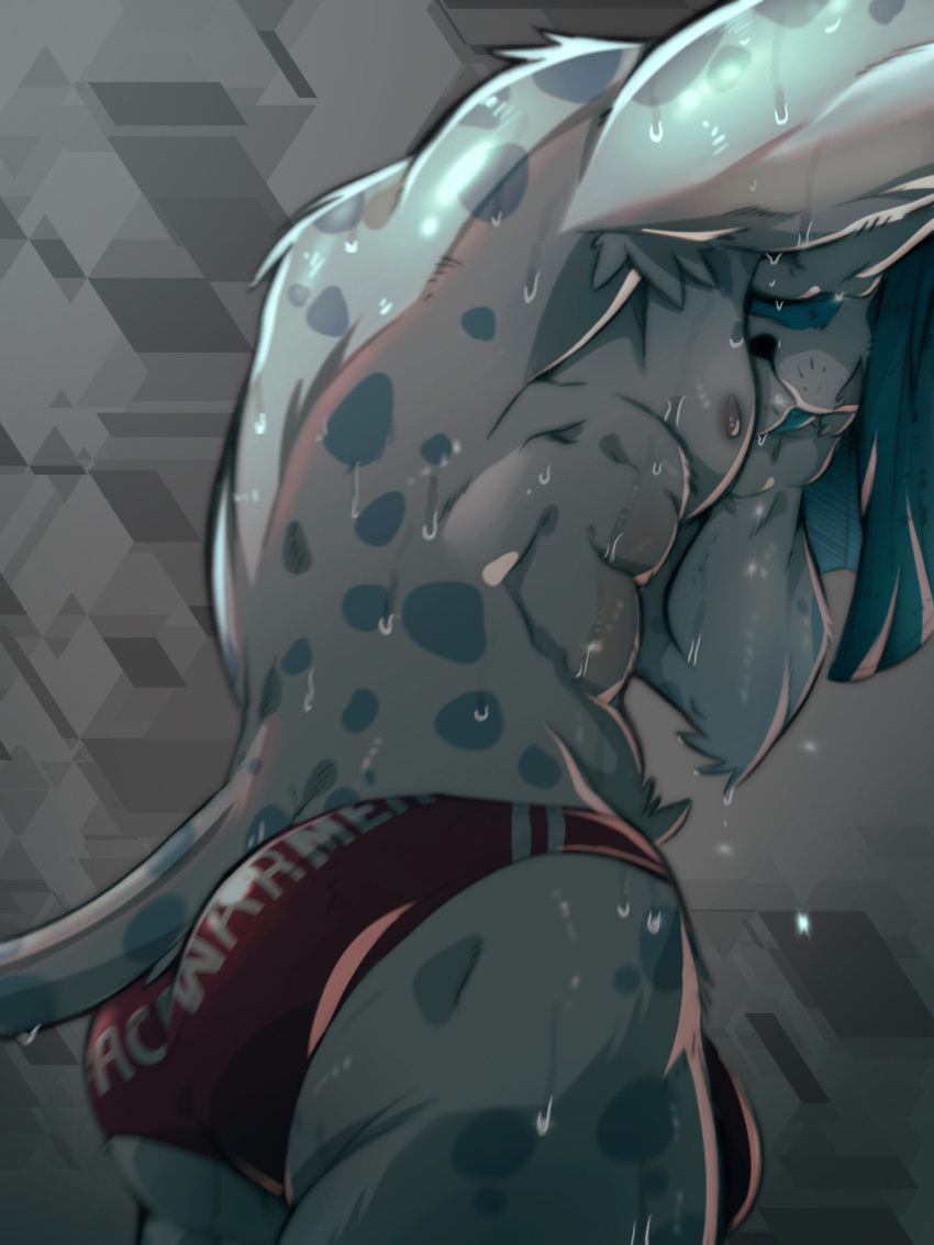 2019 3:4 abs abstract_background anthro armpit_hair bulge butt clothing felid fur hi_res male mammal muscular muscular_male nipples pantherine pecs snow_leopard spots tiggon_the_great towel underwear wet white_fur