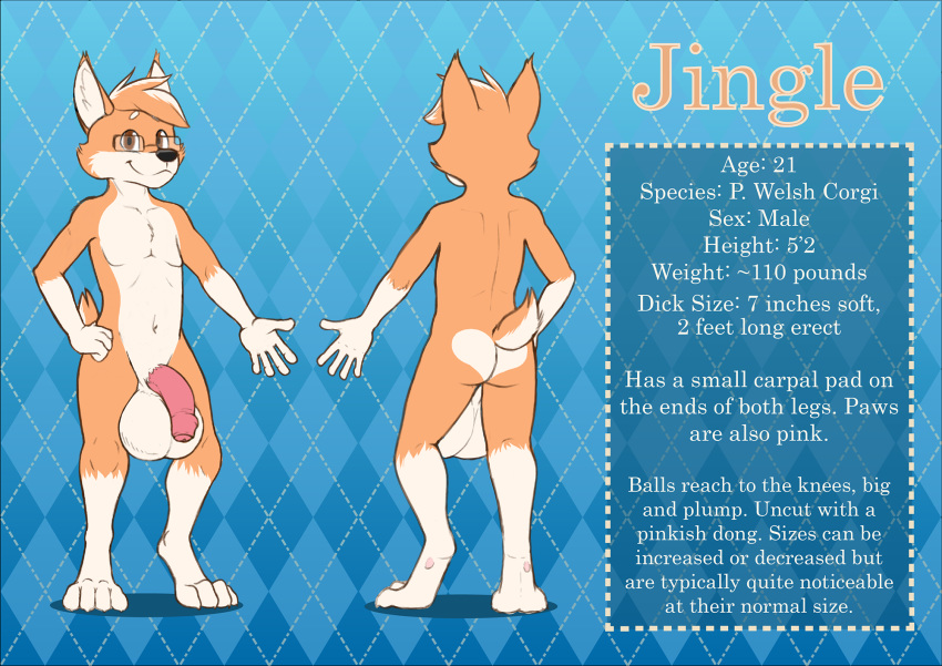 anthro balls big_balls big_penis canid canine canis domestic_dog flaccid hair herding_dog hi_res huge_balls huge_penis humanoid_penis hyper male mammal model_sheet nude pastoral_dog penis solo standing tiedernas welsh_corgi