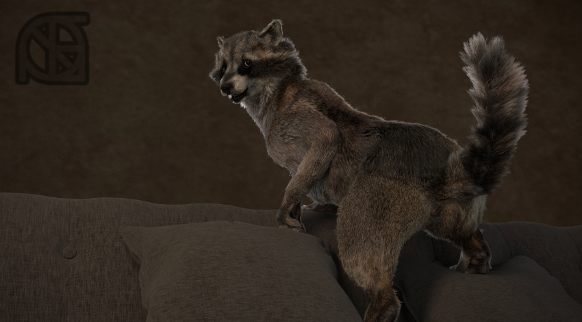 3d_(artwork) animal_genitalia animal_pussy anthro anus black_nose butt cosmiclife digital_media_(artwork) feet female feral fur hi_res looking_back mammal paws pillow pinup pose presenting presenting_anus presenting_pussy procyonid pussy raccoon raised_tail realistic semi-anthro smile sofa solo spread_legs spreading sue_andy_(cosmiclife)