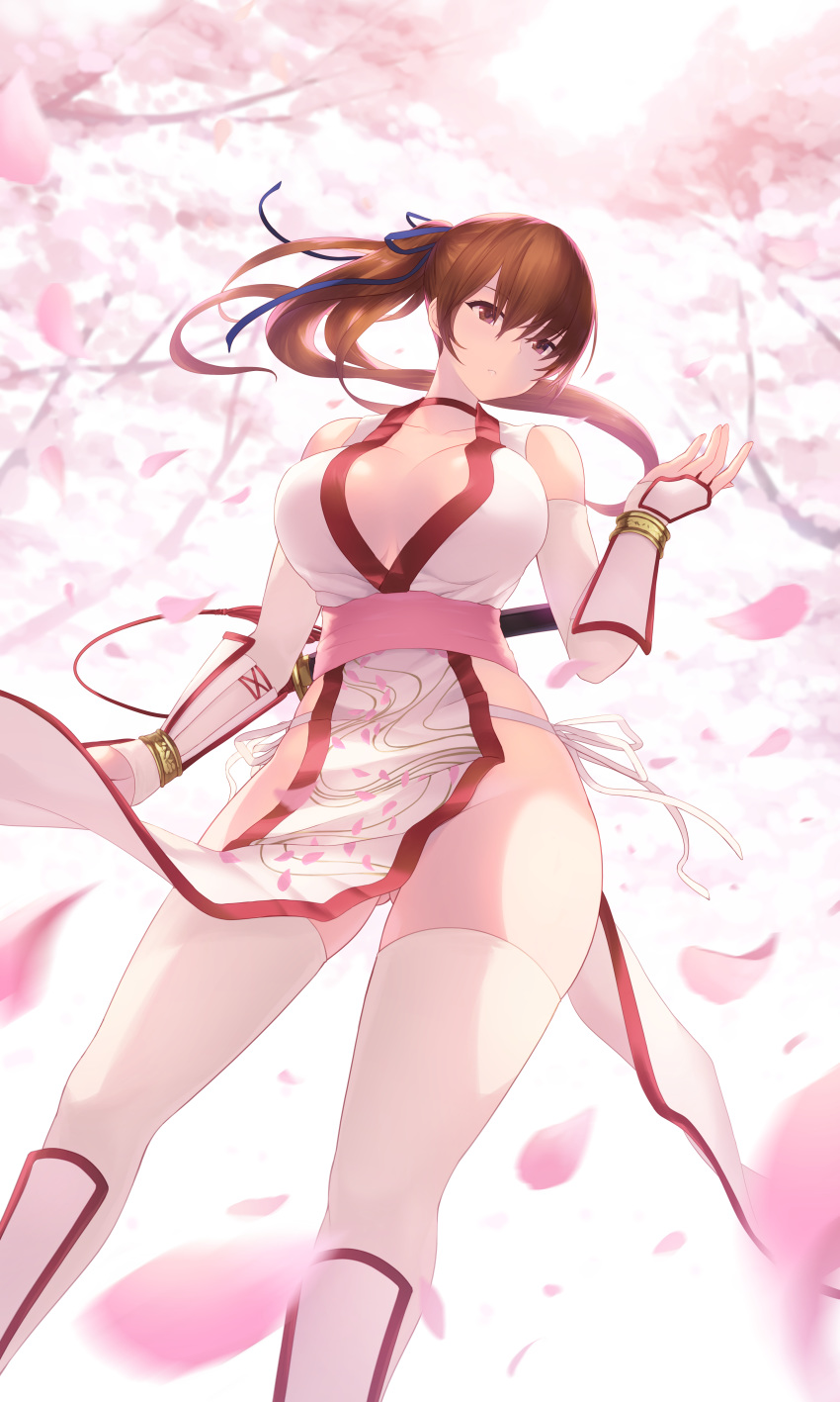 cait dead_or_alive dress kasumi no_bra thighhighs
