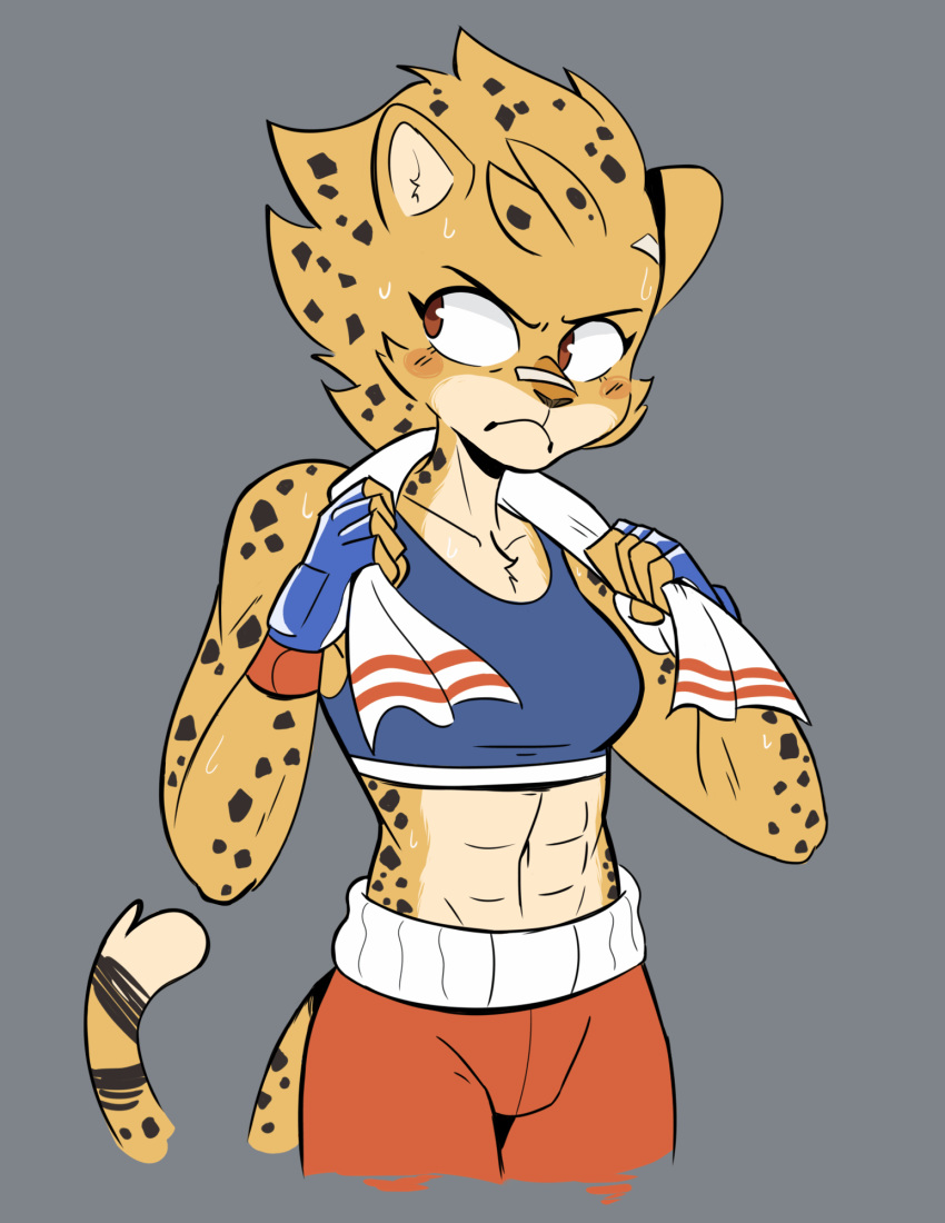 2019 5_fingers abs anthro ash_(yeahbeezii) athletic band-aid bandage beezii bottomwear bra brown_eyes brown_nose cheetah clothing eyebrows felid feline female fingerless_gloves fingers fur gloves grey_background handwear hi_res mammal midriff shorts simple_background solo sports_bra spots spotted_fur towel underwear