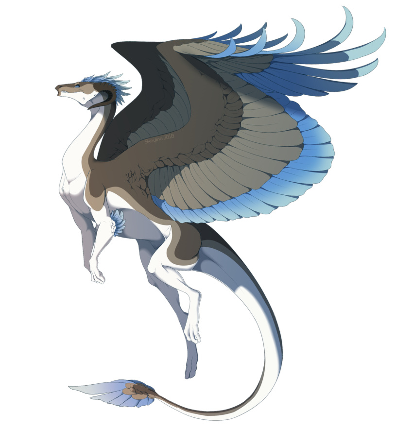 2018 alpha_channel blue_feathers dragon feathered_dragon feathered_wings feathers feral hi_res scalie simple_background skaydie solo transparent_background wings