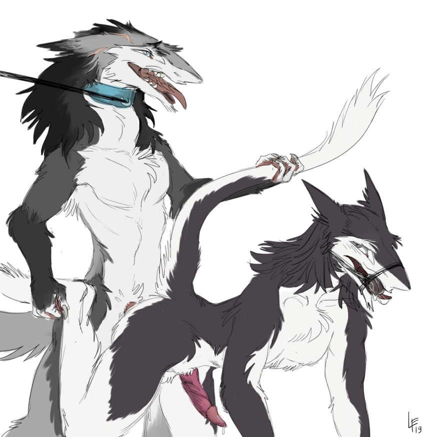 2019 anal anal_penetration anthro ball_gag balls bdsm bodily_fluids bondage bound collar cum duo erection fur gag gagged genital_fluids hi_res leash lynxwolf2 male male/male mammal nude penetration penis sergal sex sketch