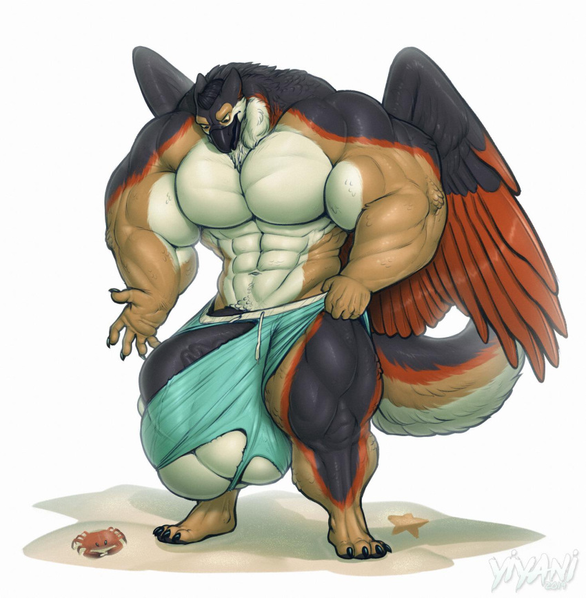abs anthro avian balls biceps big_balls claws clothed clothing feathered_wings feathers gryphon hi_res huge_balls hyper hyper_balls hyper_muscles hyper_penis male muscular muscular_male open_mouth pecs penis sand simple_background solo standing swim_trunk thick_thighs white_background wings yiyani