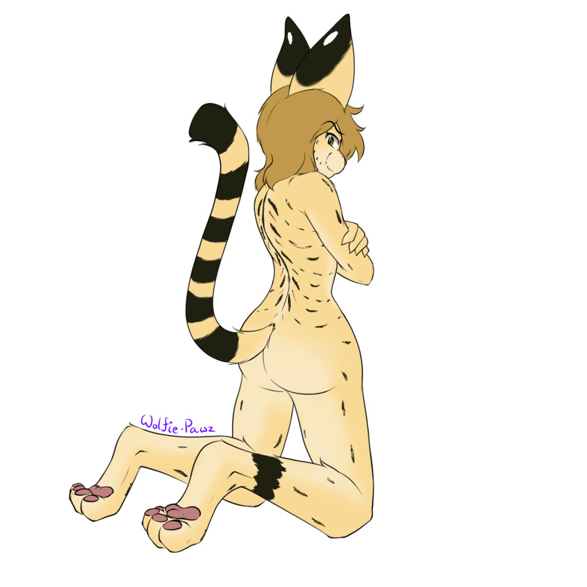 1:1 2019 4_toes anthro assassin barefoot biped black_fur black_stripes butt butt_pose countershade_arms countershade_legs countershade_torso countershading covering covering_breasts covering_self crossed_arms digital_media_(artwork) eye_contact eyebrows felid feline female fur hair head_turn hi_res hindpaw kneeling looking_at_another looking_at_viewer looking_back mammal naughty_face nude orange_fur pawpads paws pink_pawpads pinup pose raised_tail serval short_hair signature simple_background smile smug solo spots spotted_fur striped_tail stripes tan_countershading tan_fur toes wolfie-pawz