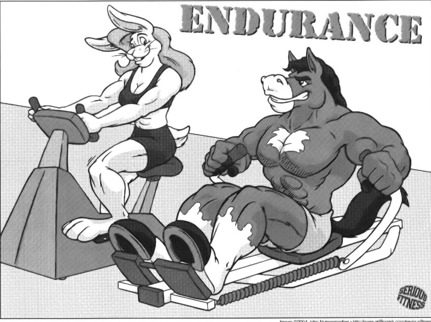 abs cooner duo equid equine exercise female horse lagomorph leporid mammal muscular muscular_female rabbit workout