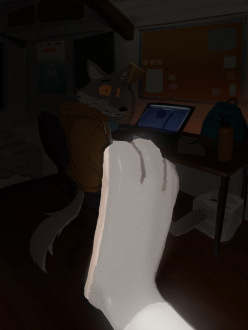 3_toes bedroom camera_flash canid canine canis claws clothed clothing computer desk eddie_(orf) father father_and_son hi_res hoodie looking_at_viewer male mammal orf parent paws sam_(orf) son toe_claws toes topwear wolf