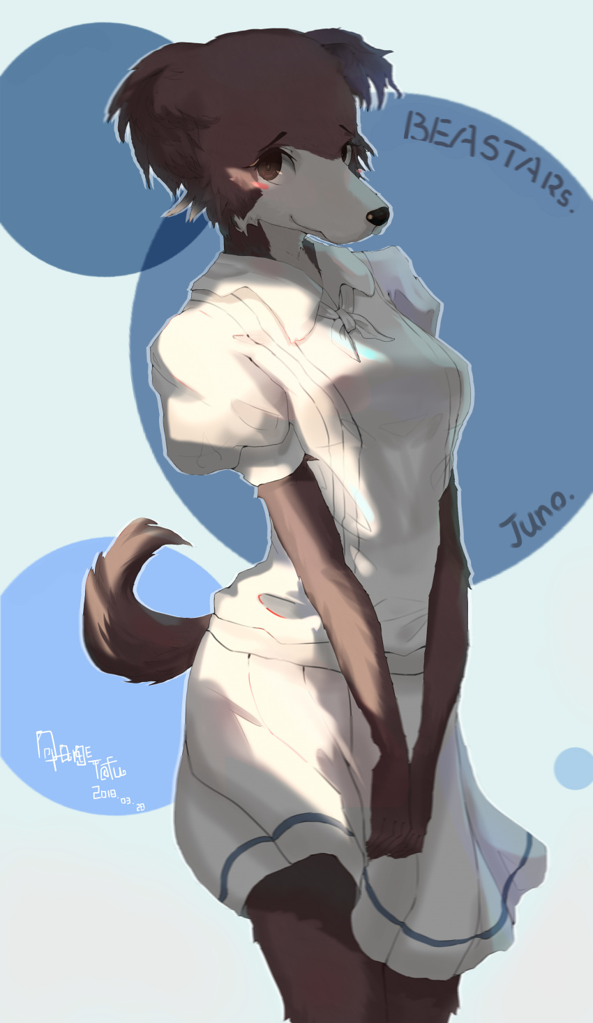 2018 absurd_res anthro beastars blush bottomwear breasts brown_eyes brown_fur canid canine clothed clothing female fluffy fluffy_tail fur hi_res juno_(beastars) looking_at_viewer mammal portrait skirt solo standing three-quarter_portrait tofu_(artist) white_fur